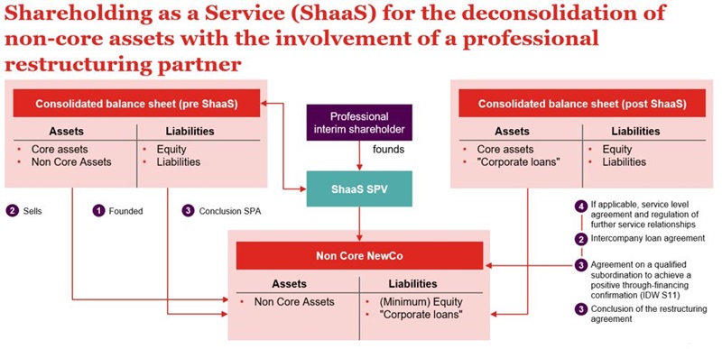Shareholding as a Service (ShaaS) for the deconsolidation of non-core assets with the involvement of a professional restructuring partner