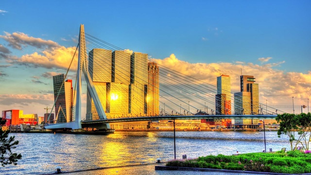 View of bridge and city skyline