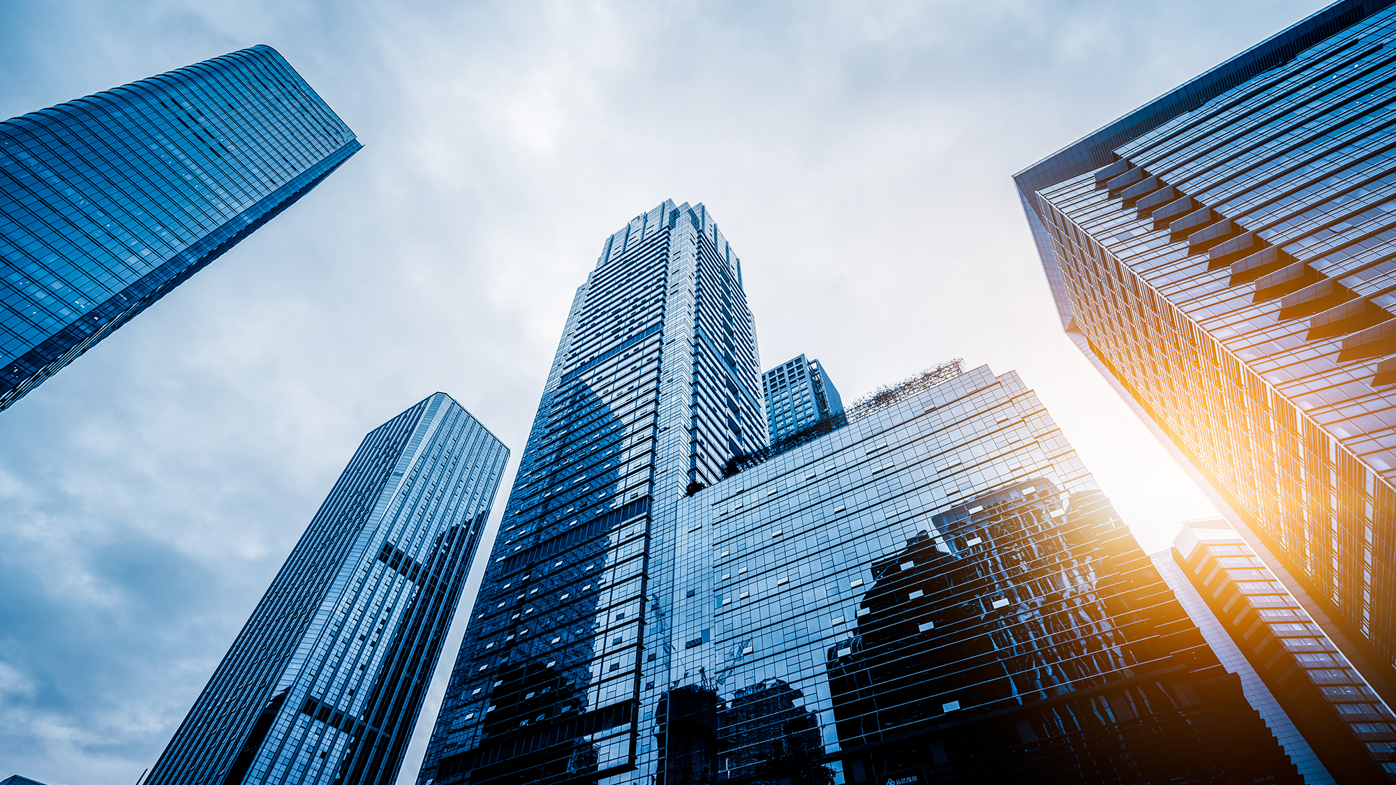 Proving joint ventures: The importance of shared losses