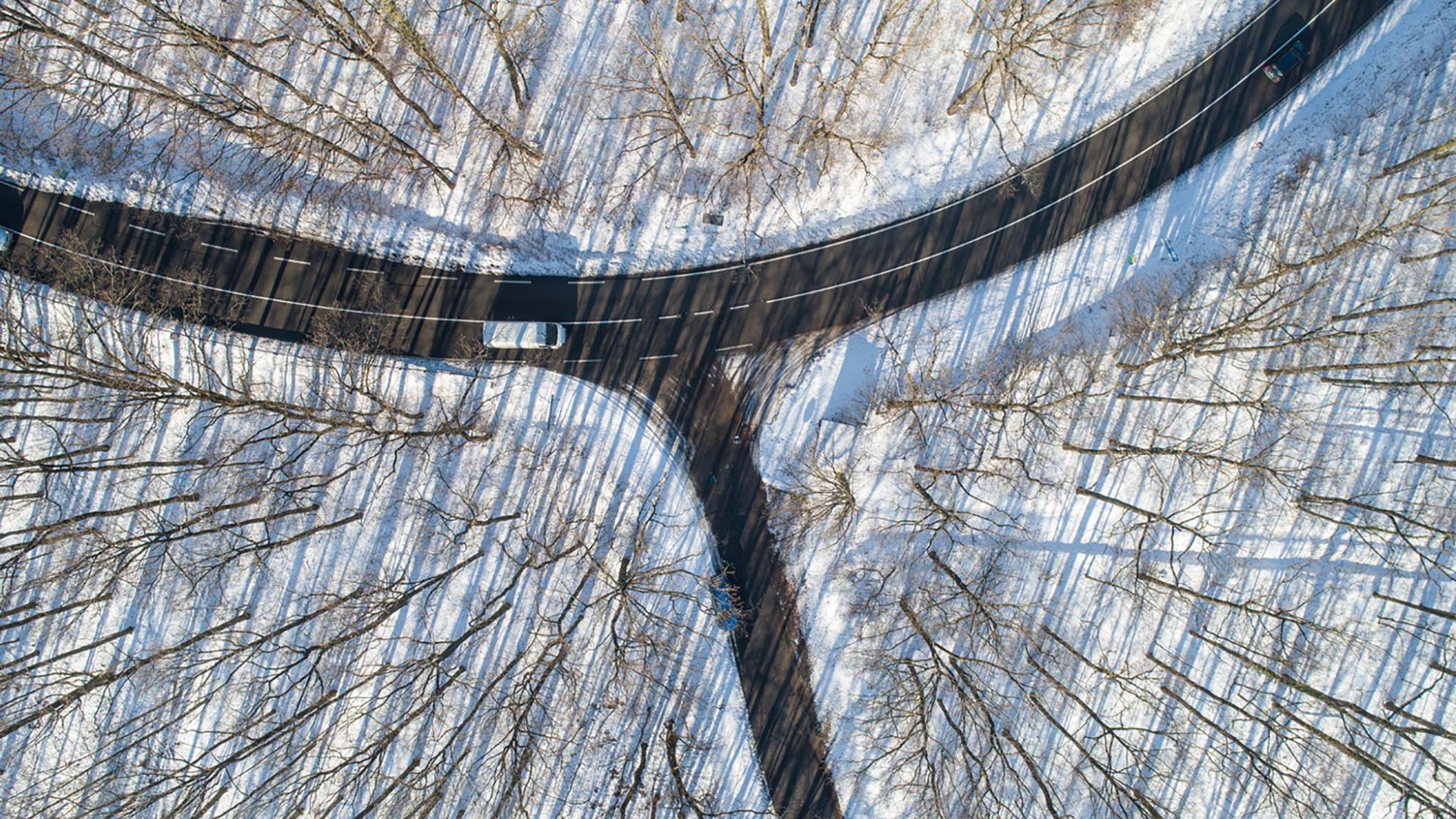 Road in winter forest