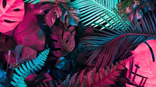 Tropical design of pink, turquoise and blue plant leaves