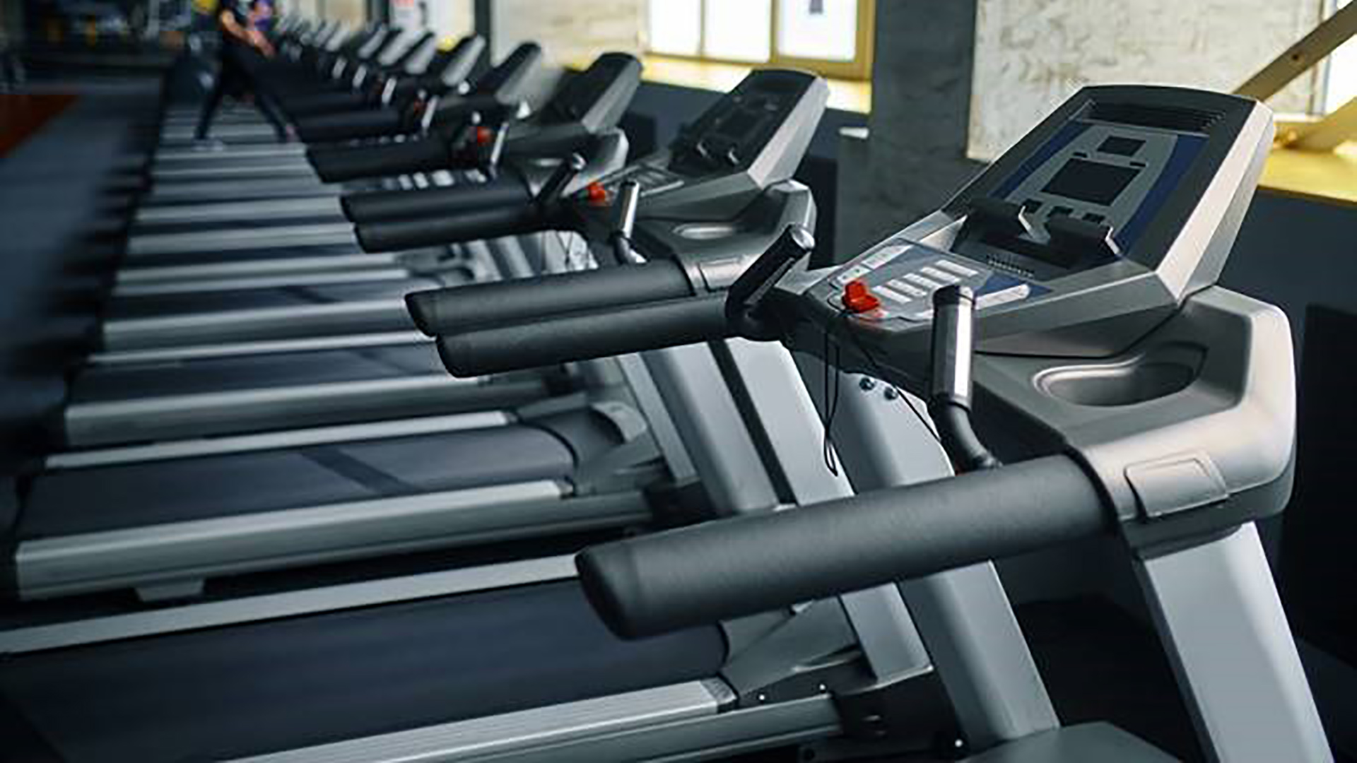 Row of treadmills in a gym