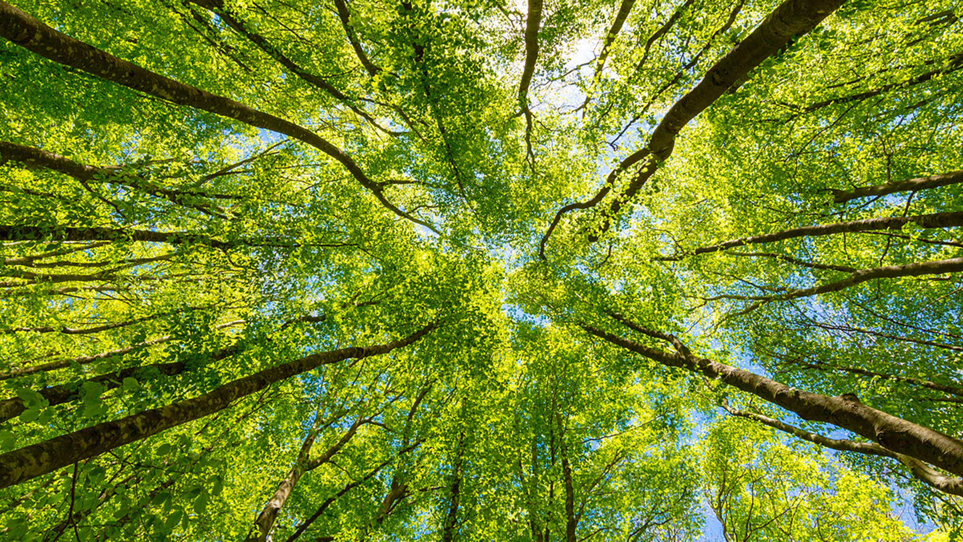 Time to standardise documentation for sustainability-linked derivatives?