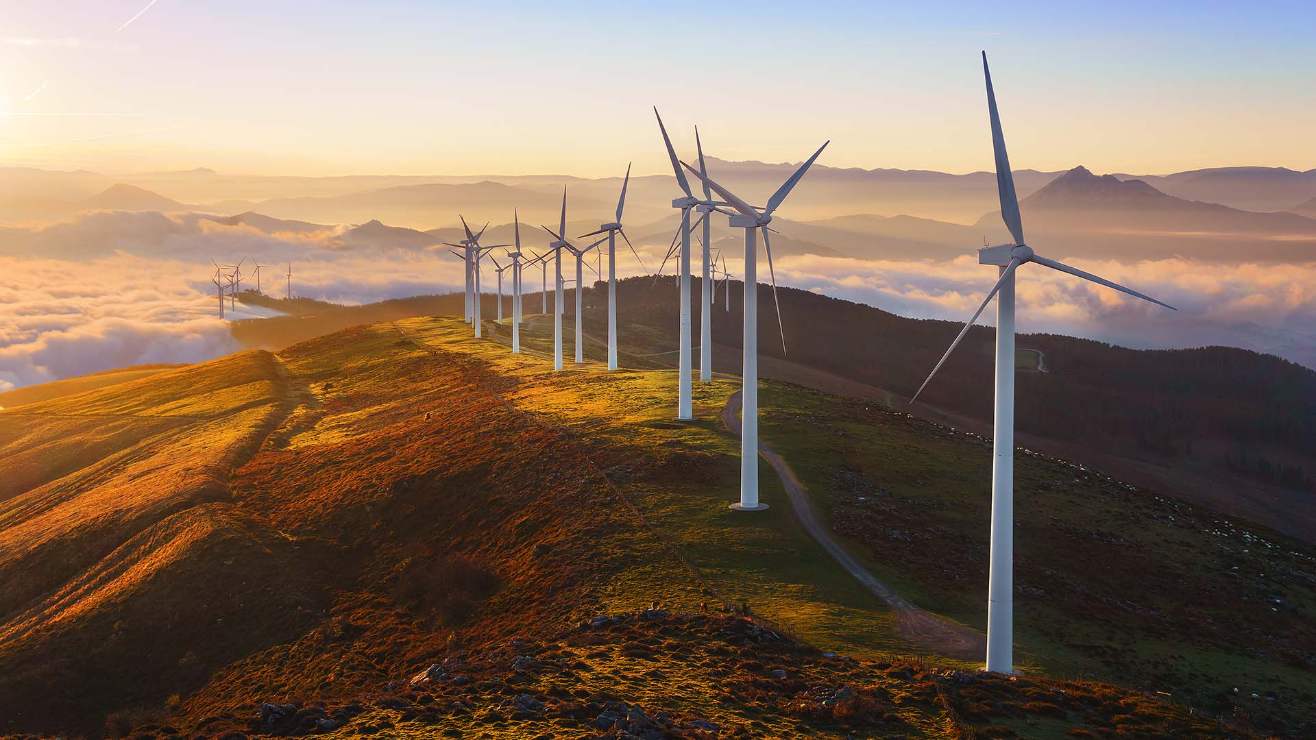 Takeaways from the FT Moral Money Summit: Greenwashing and corporate disclosures