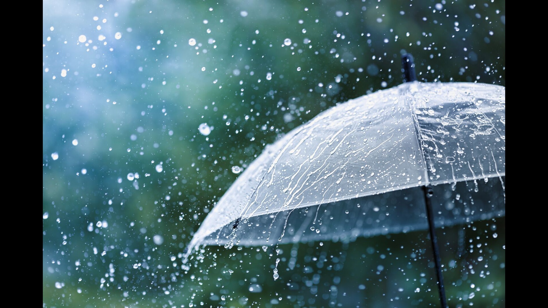 Rain and umbrella wet