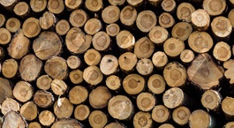 Dried wood logs stacked neatly revealing natural brown and beige hues